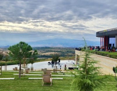 AYA_Estate Vineyards_2