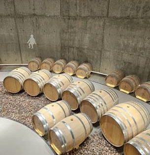 AYA_Estate Vineyards_6