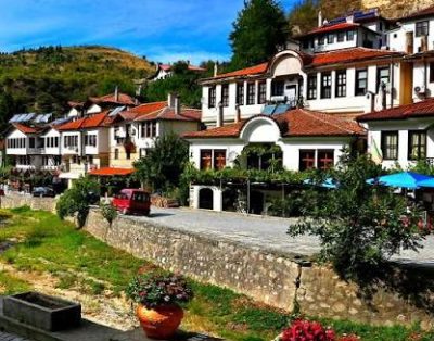 Melnik-image-2