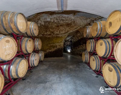 Winery-Villa- Melnik-1