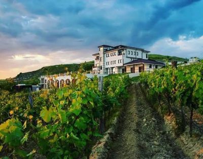 Winery-Villa- Melnik-4